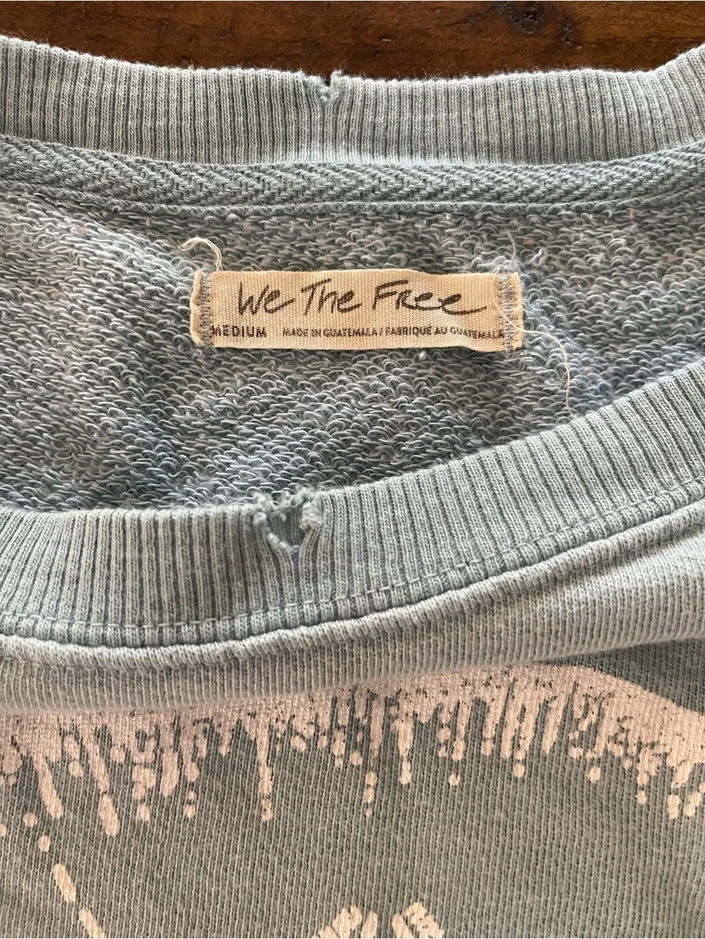 We The Free Graphic Camden Pullover- Sand Dollar Size Medium - Picture 7 of 8
